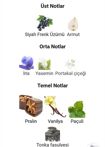 Beden La Vie est Belle Kadın.Boyunluğu ve kapağı yoktur.