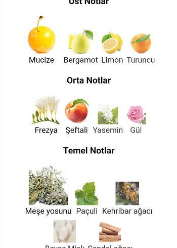 Beden Renk Chloe Nomade Kadın 50ml Orjinal iade garantilidir. Kapaksız