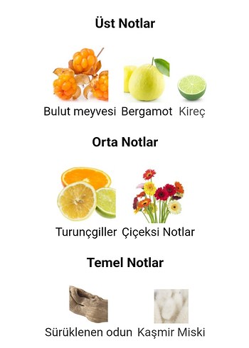  Beden Renk 50 ml Orjinal iade garantili. Kapaksız