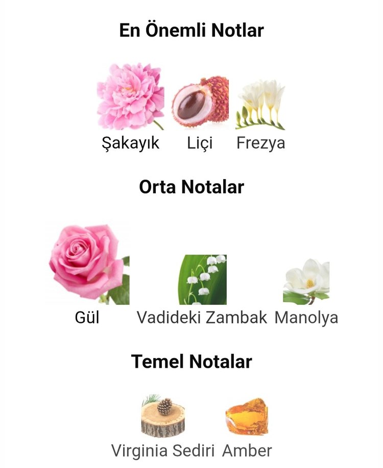 Chloé signature 75ml Orjinal iade garantilidir. - Görsel 5