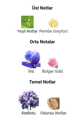  Beden Renk Bvlgari 40ml Orjinal iade garantilidir.