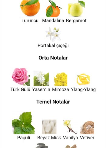 Chanel Coco Mademoiselle 200 ml Orjinal iade garantilidir - Görsel 5