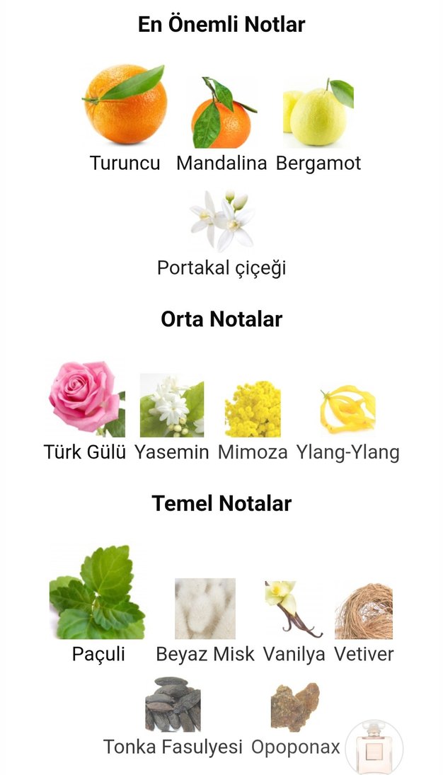 Chanel Coco Mademoiselle 200 ml Orjinal iade garantilidir - Görsel 5