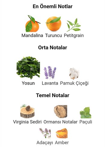 AQVA PO.MME 100ml Orjinal iade garantilidir. - Görsel 5