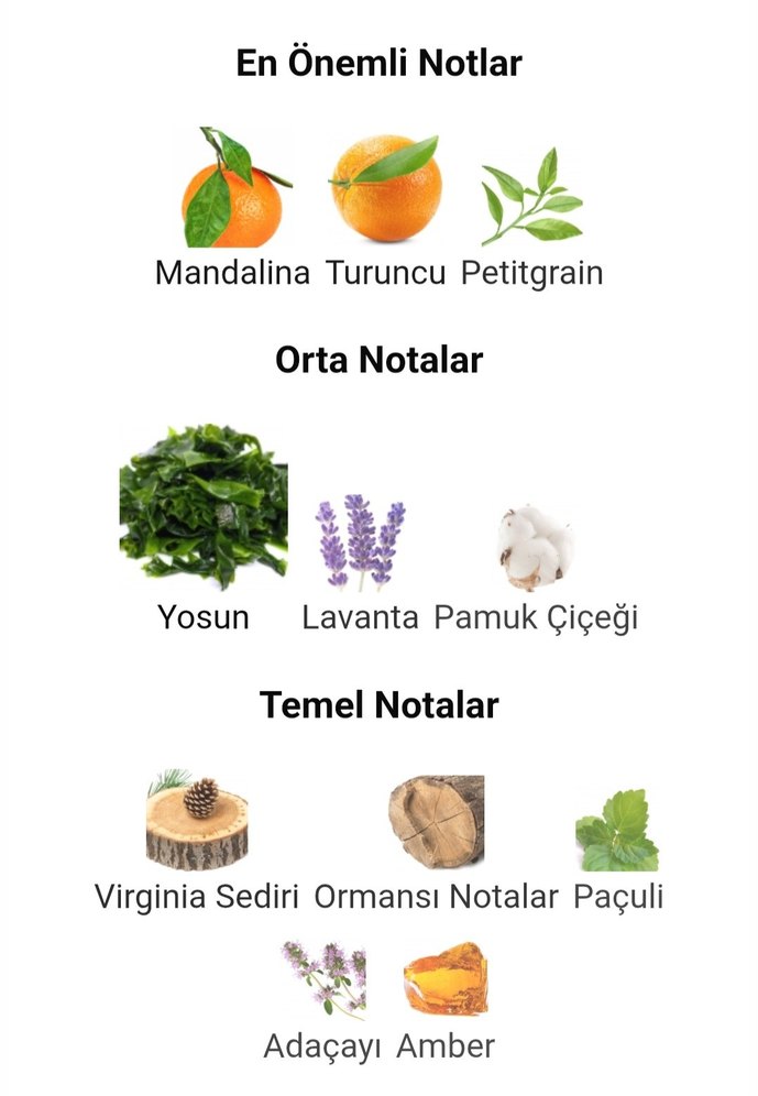 AQVA PO.MME 100ml Orjinal iade garantilidir. - Görsel 5