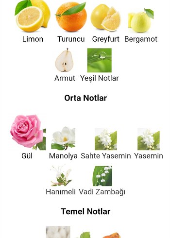 Beden Renk Rumeur Kadın Edp 30ml Orjinal iade garantili. Kapaksız