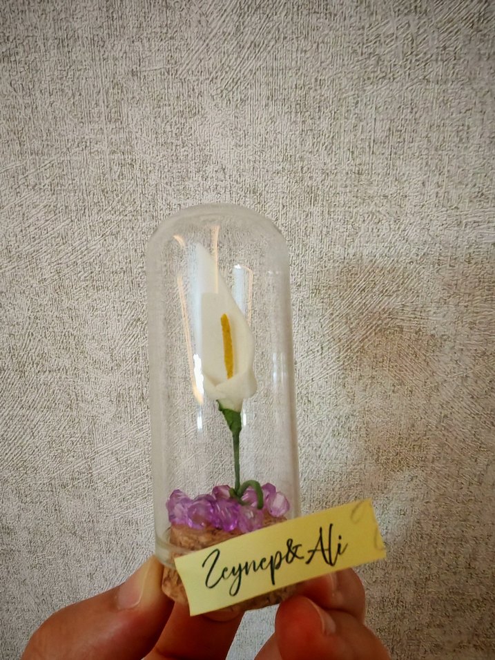 Ters fanus, cam fanus, hediyelik cam fanus - Görsel 2