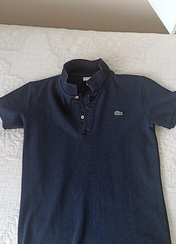 Lacoste polo yaka s beden