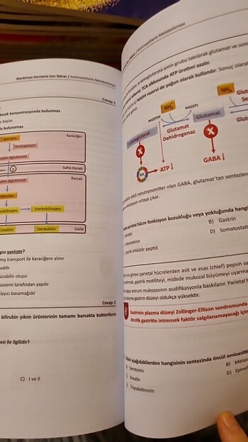  Beden Tusem Biyokimya Sorularla Son Tekrar SST