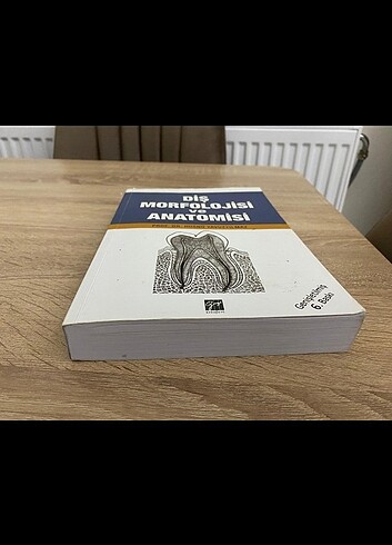  Diş morfolojisi ve anatomisi dişhekimliği 