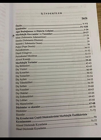  Beden Diş morfolojisi ve anatomisi dişhekimliği 