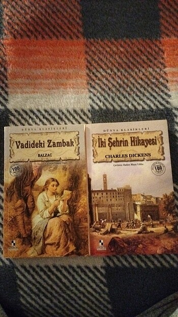 vadideki zambak iki şehrin hikayesi