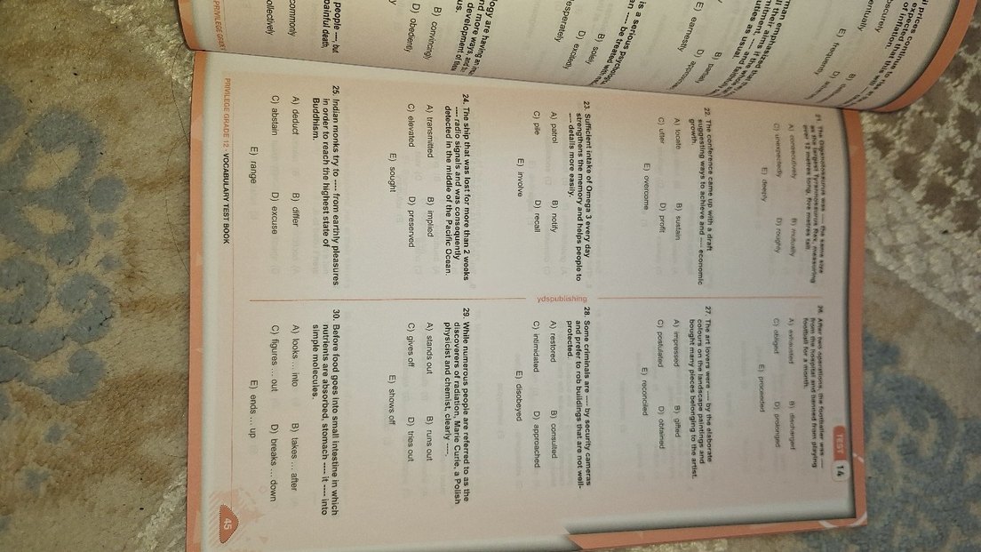 Privilege Grade 12 Vocabulary Test Kitabı - Görsel 3