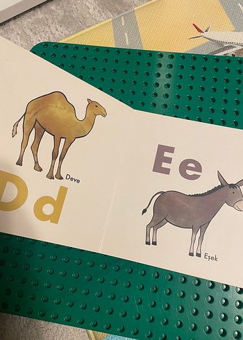 Şerif Hayvanlar Alemi Alfabe Kitabı - Görsel 3