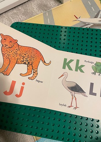 Şerif Hayvanlar Alemi Alfabe Kitabı - Görsel 4