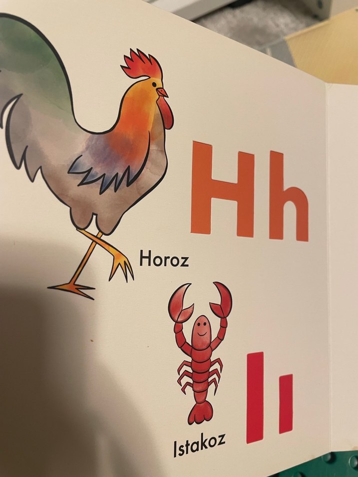 Şerif Hayvanlar Alemi Alfabe Kitabı - Görsel 5
