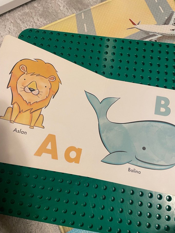 Şerif Hayvanlar Alemi Alfabe Kitabı - Görsel 2