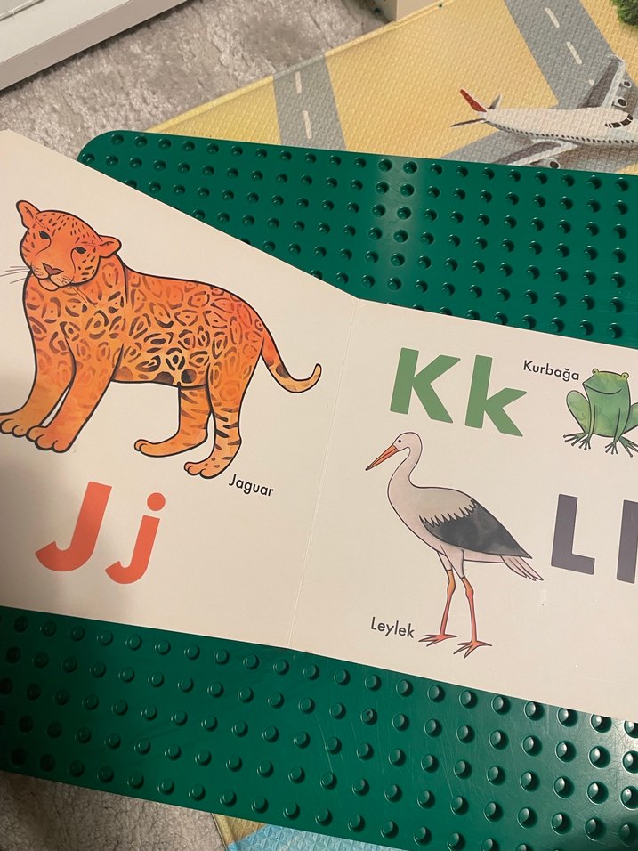 Şerif Hayvanlar Alemi Alfabe Kitabı - Görsel 4