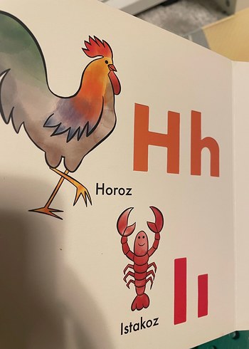 Şerif Hayvanlar Alemi ve Beni de Yanına Alır Mısın? - Görsel 13