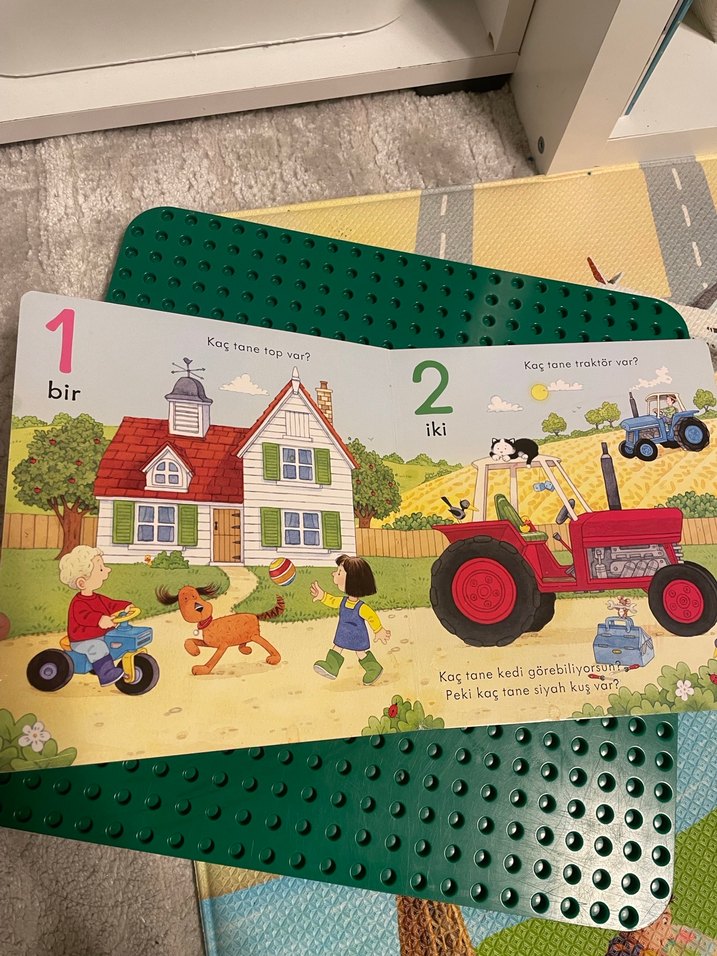 Alfabe, Beni de yanına alır mısın? İnci ve Ege ile - ciltli - Görsel 5