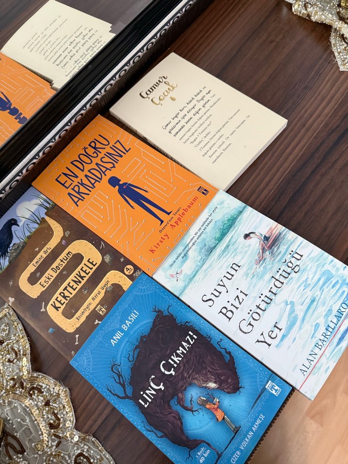 Çocuklar için çeşitli kitap koleksiyonu - Görsel 3