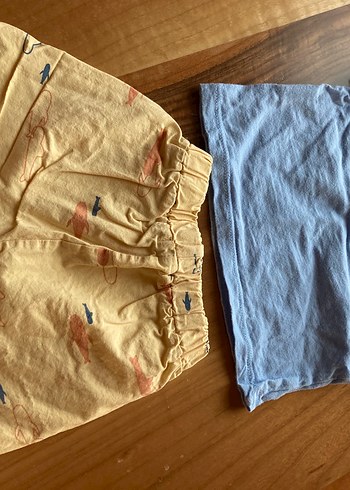 Erkek Çocuk Mavi Kısa Kollu Üst ve Sarı Şort - Görsel 2