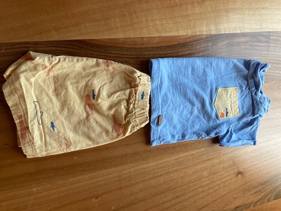 Erkek Çocuk Mavi Kısa Kollu Üst ve Sarı Şort - Görsel 3