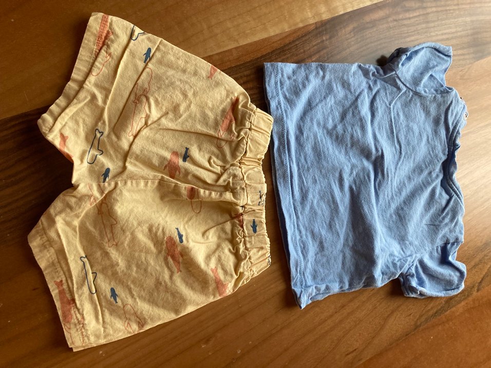 Erkek Çocuk Mavi Kısa Kollu Üst ve Sarı Şort - Görsel 2