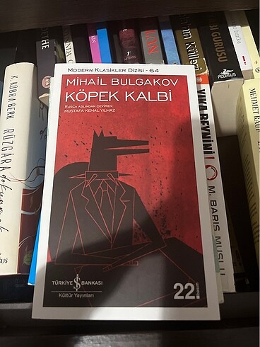 Kopek kalbi