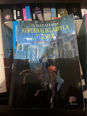 Is hayatında kopek balıklarıyla yüzmek