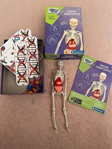 Bilim ve oyun insan anatomisi