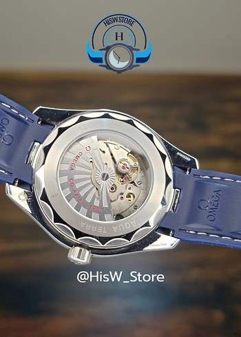 Omega Seamaster Aquaterra World Time - Görsel 3