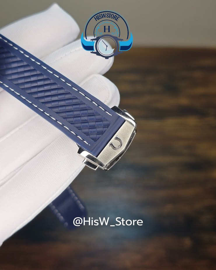 Omega Seamaster Aquaterra World Time - Görsel 4