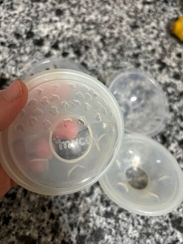 Mycey göğüs kapakları - Görsel 2