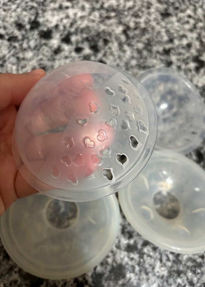 Mycey göğüs kapakları - Görsel 3