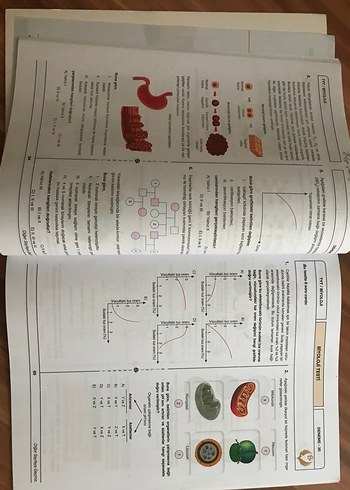 Biyoloji Ders Notları ve Branş Denemeleri Seti - Görsel 4