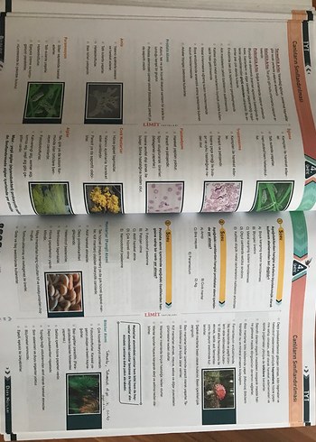 Biyoloji Ders Notları ve Branş Denemeleri Seti - Görsel 3