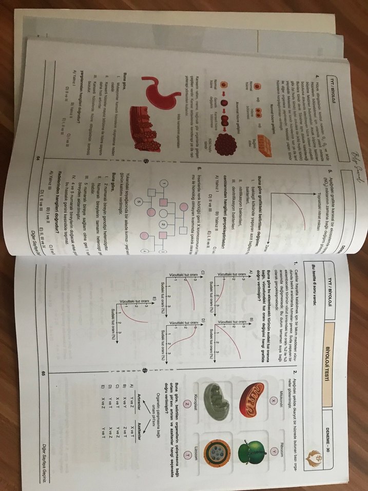 Biyoloji Ders Notları ve Branş Denemeleri Seti - Görsel 4