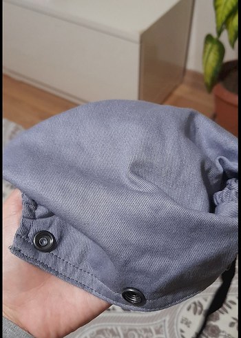 Gri kanguru - Görsel 9