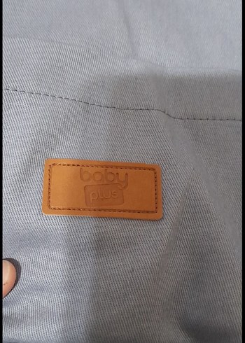 Gri kanguru - Görsel 5