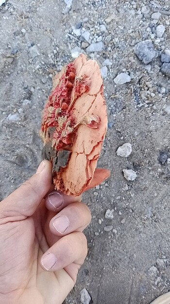 Dekorasyon - Görsel 2