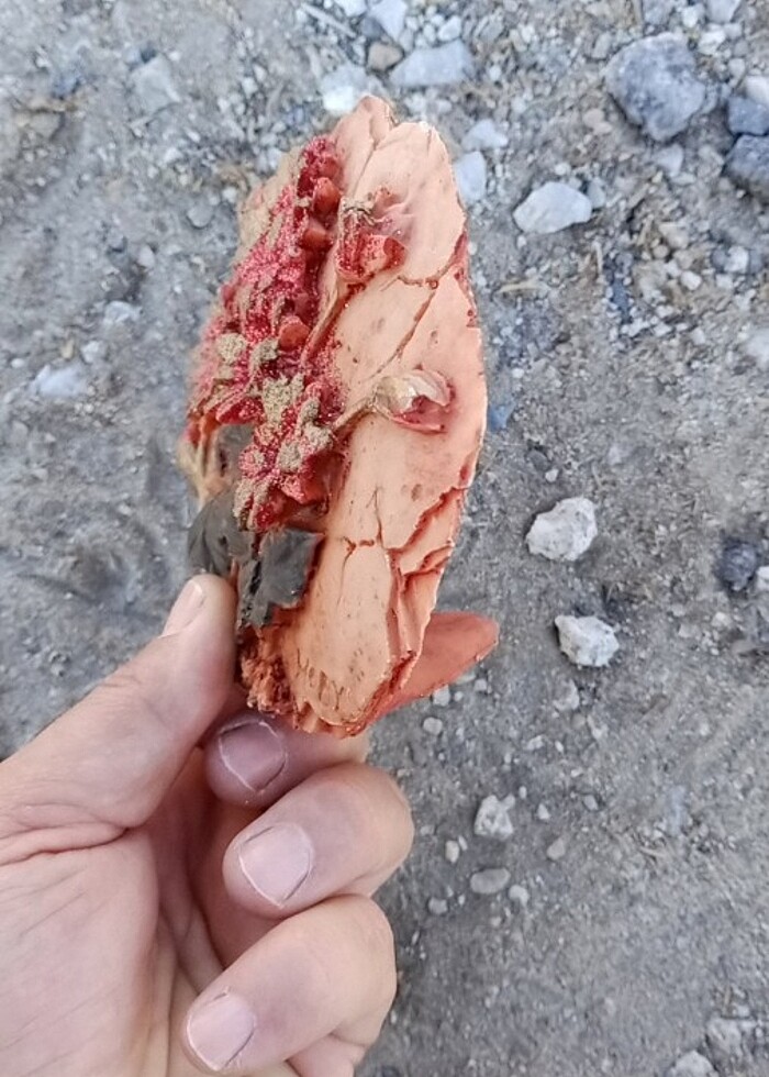 Dekorasyon  - Görsel 2