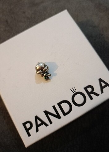 Pandora Pandora