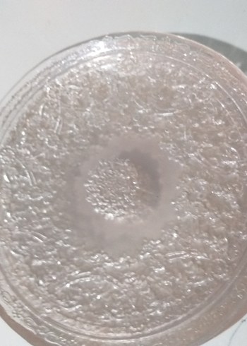 Bej Renkli Düz Tabak Seti - Görsel 2