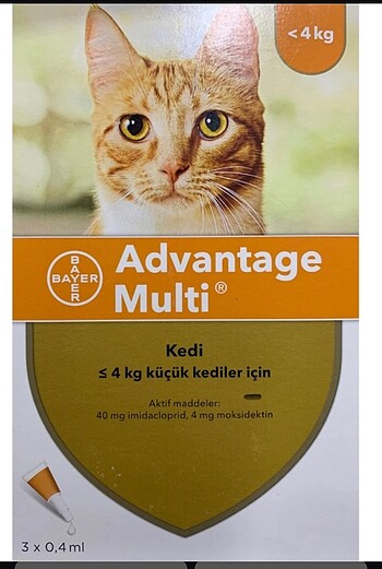 Advence kedi