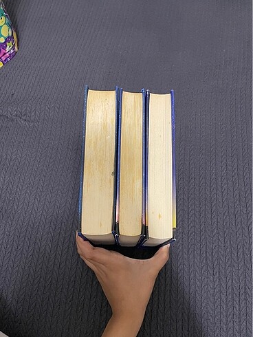 Beden Kutup Yıldızı Serisi