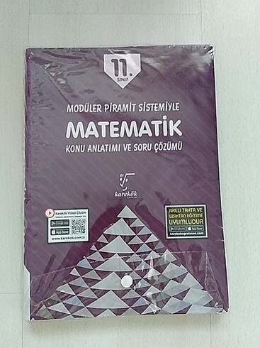 11.sınıf matematik 