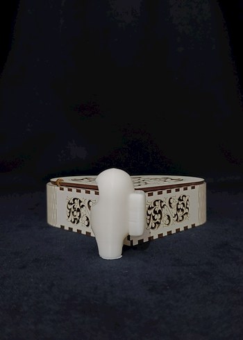 Îstenilen renge Göre boyanan amonus - Görsel 2