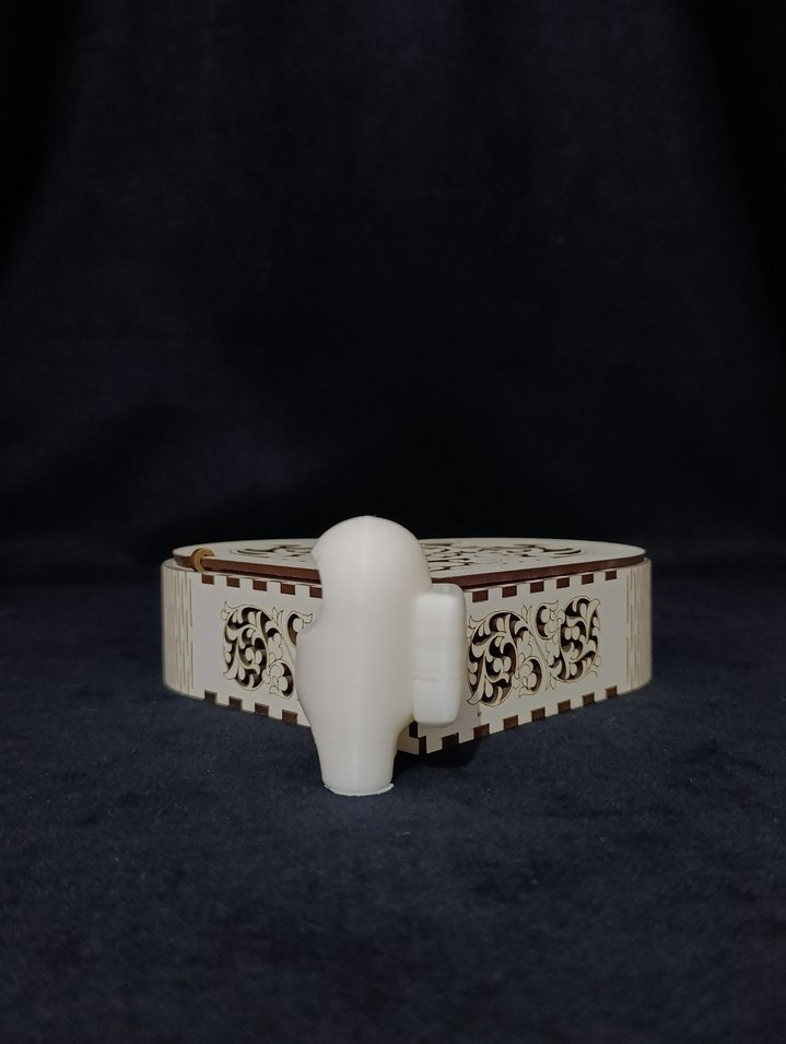 Îstenilen renge Göre boyanan amonus - Görsel 2