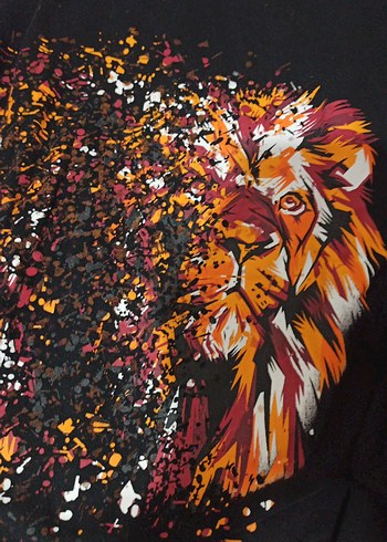 Erkek Siyah Aslan Baskılı Kapüşonlu Sweatshirt - Görsel 2